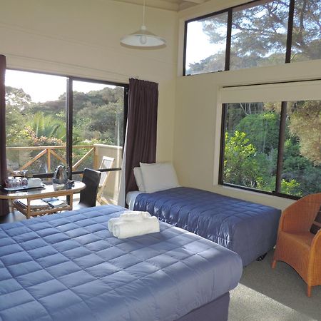 Waiheke Island Punga Lodge Oneroa Kamer foto