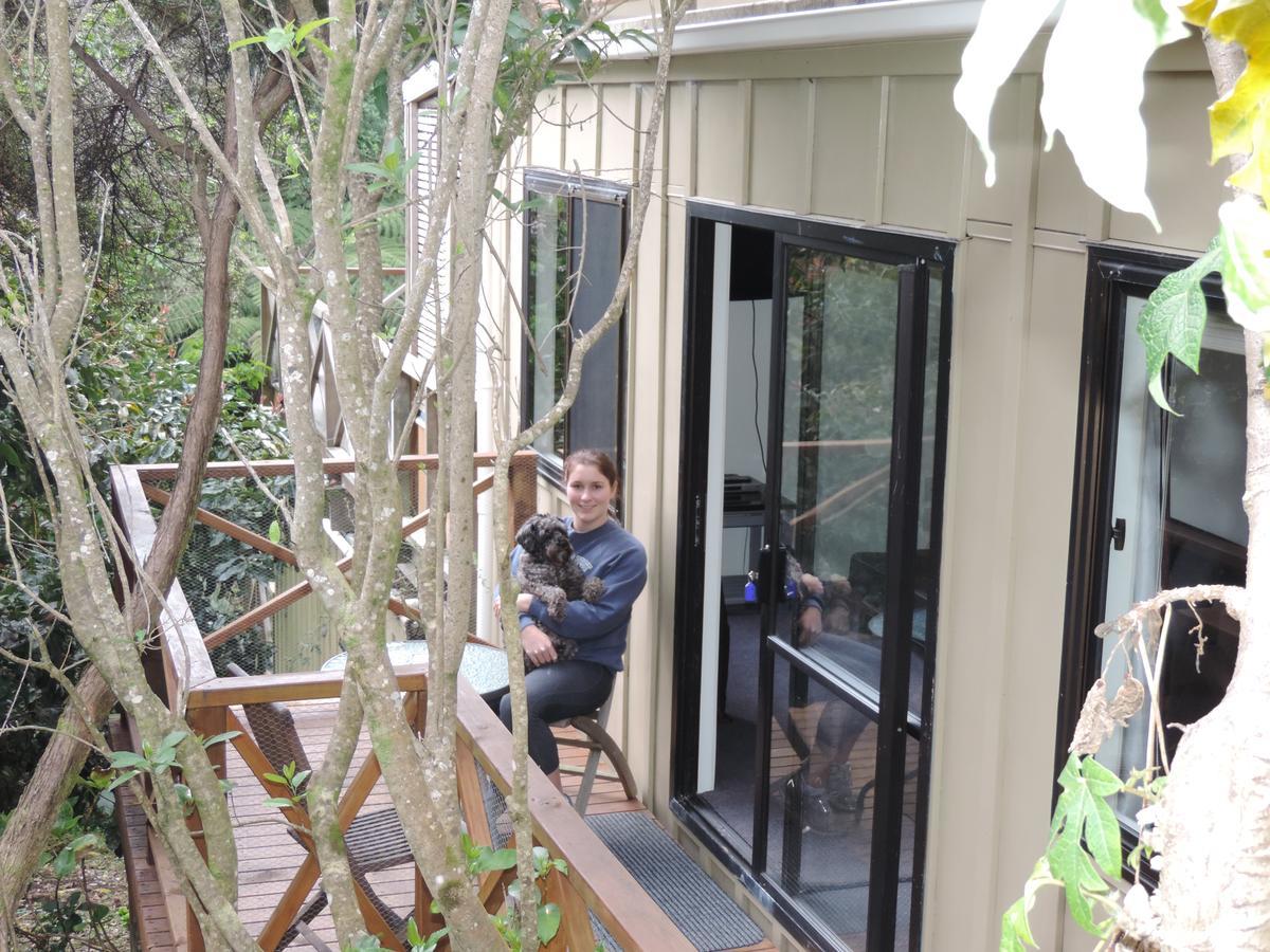 Waiheke Island Punga Lodge Oneroa Buitenkant foto