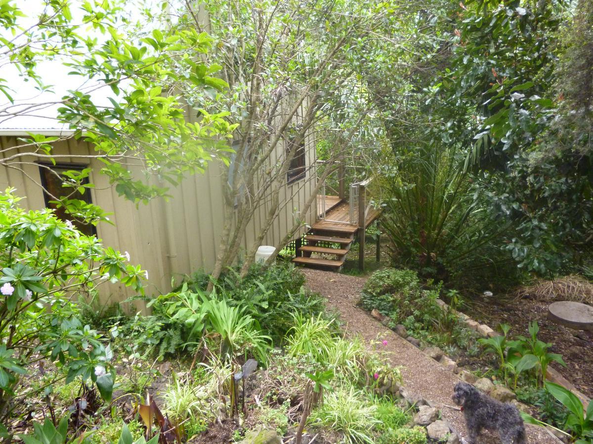 Waiheke Island Punga Lodge Oneroa Buitenkant foto