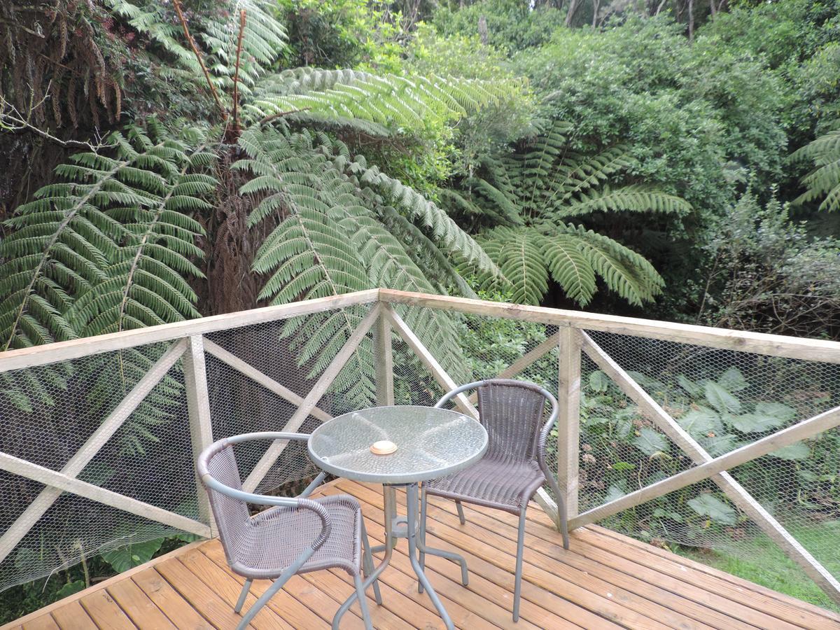 Waiheke Island Punga Lodge Oneroa Buitenkant foto